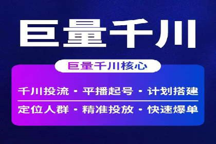 SEM广告投放策略：成功案例解析